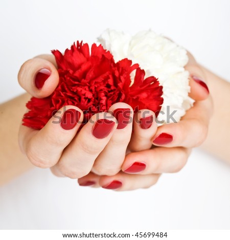 Manicured hands holding red and white flowers close-up