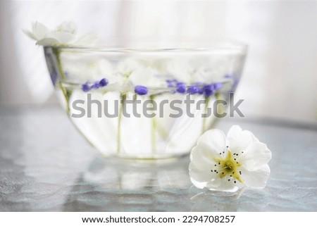 Similar – Image, Stock Photo Bowl with water for dogs and watering can on paving stones