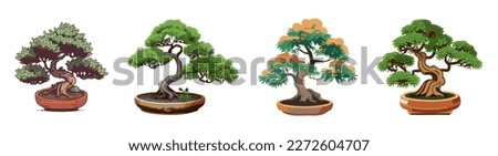 Set of Japanese bonsai trees grown in containers. Beautiful realistic tree. Bonsai style tree. Bonsai tree on red box. Decorative vector illustration of a small tree. Nature art