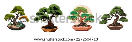 Set of Japanese bonsai trees grown in containers. Beautiful realistic tree. Bonsai style tree. Bonsai tree on red box. Decorative vector illustration of a small tree. Nature art