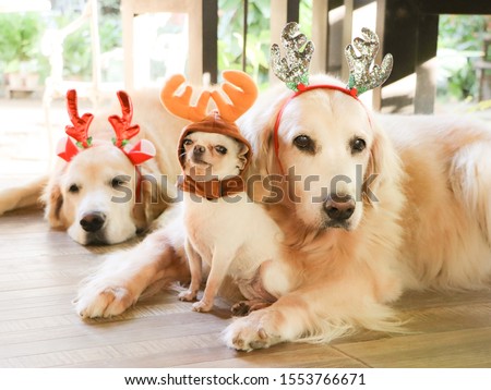 Shutterstock Puzzlepix