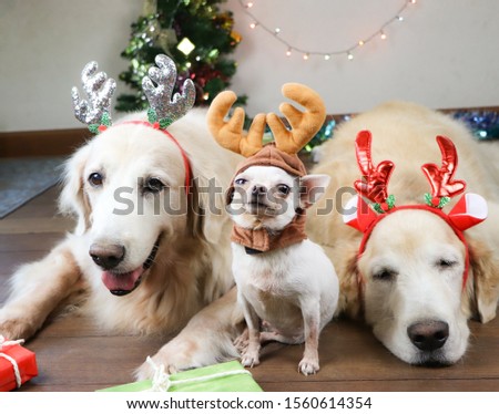 Shutterstock Puzzlepix