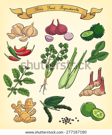 hand drawn illustration of Thai food ingredients