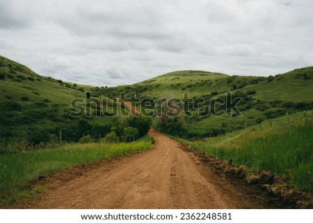 Similar – Image, Stock Photo reddish grasses Grass