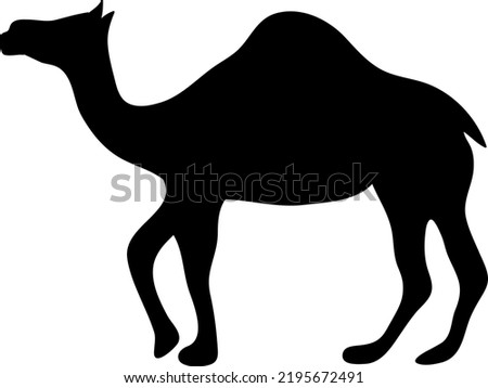 Camel icon, silhouette, logo on white background.eps
