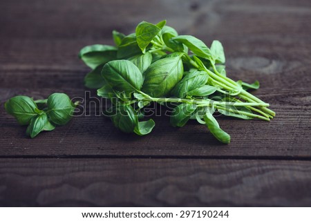 Bunch of fresh green basil on a dark wood background, close up