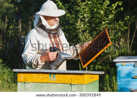Apiarist in a protective hat and white shirt making inspection in apiary in the springtime