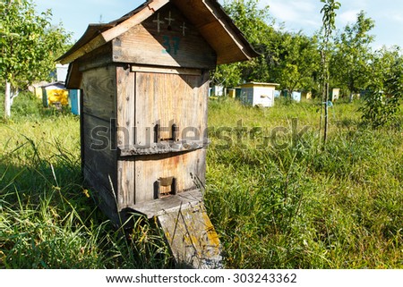 Beautiful wooden beehive with roof is standing in the bee-garden with multicolor wooden beehives on the background