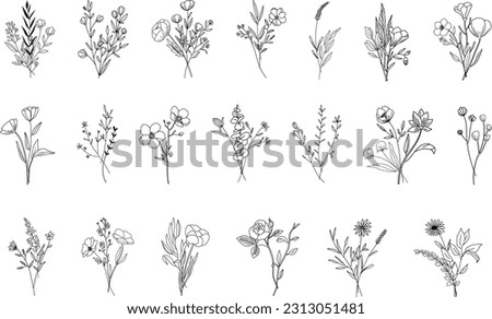 Botanical abstract line arts, hand drawn bouquets of herbs, flowers, leaves and branches, vector illustration