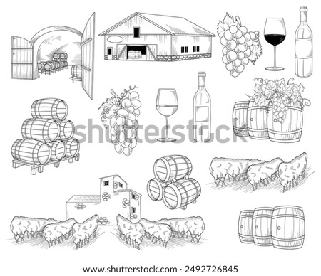 Wine, winery, grapes, vineyard, wine cellar line art drawing, hand drawn vector illustration