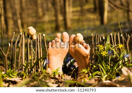 Creative funny nature pattern. Fence of palisade and woman\'s feet