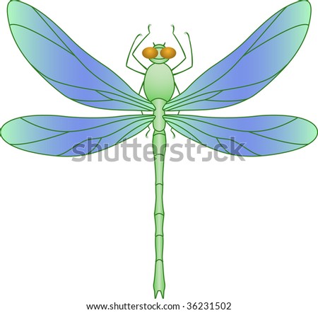 Color Image Of The Dragonfly On A White Background. Stock Vector ...