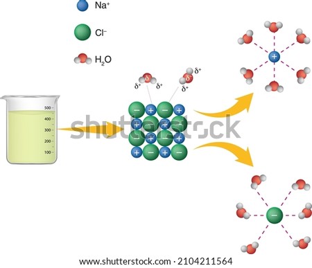 NaCl. Hydration. H2O Molecules. Physics, Chemistry, Biology. Interaction