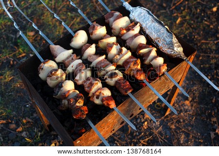 Cooking kebabs as outdoor recreation