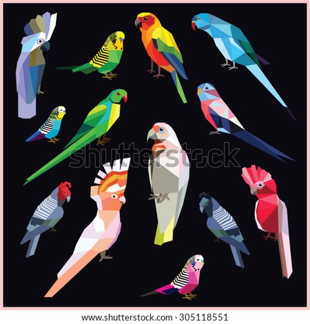 Birds-set of colorful low poly parrot birds isolated on black background.Sun,Bourke,Budgerigar pink blue,Rose ringed parakeet.Cock han gang-gang.Major Mitchell,White umbrella,Galah cockatoo.Corella.