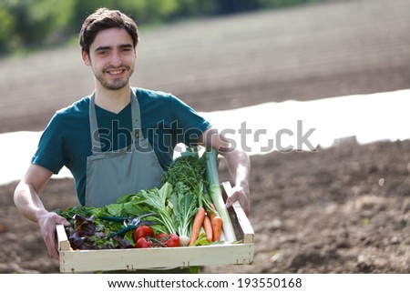 View of a Young happy farmer with a crate full of vegetable