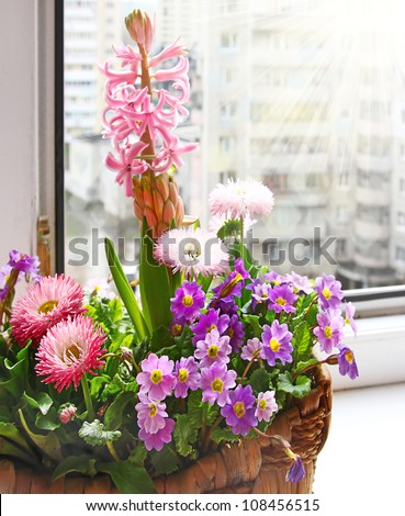 Basket with spring flowers in the sun on the window