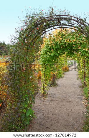 A garden path with arches with decorative lianas