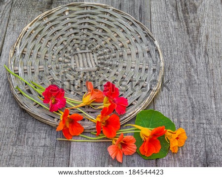 Summer still-life with flowers of nasturtium on a wooden table
