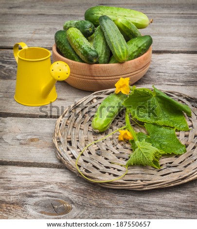 Cucumbers in a wooden bowl on a background of yellow watering can on an old wooden table