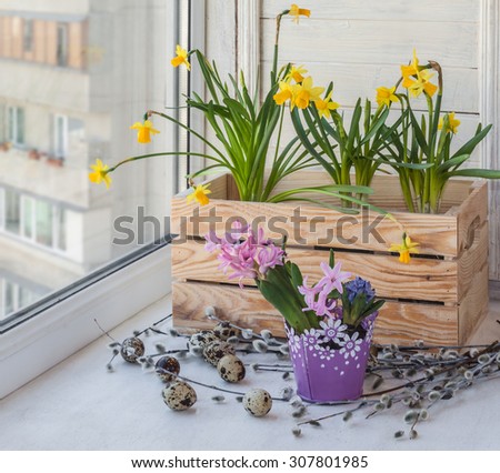 Decorated Easter eggs blooming daffodils in balcony boxes for flowers