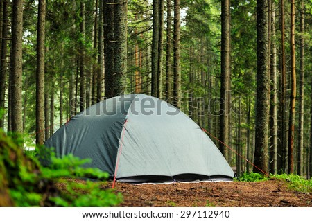 tent in the pine forest, rain and sun