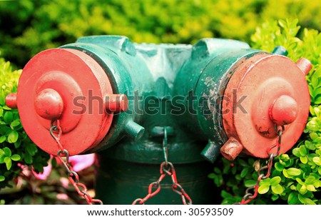 This is an image of a red and green fire hydrant.