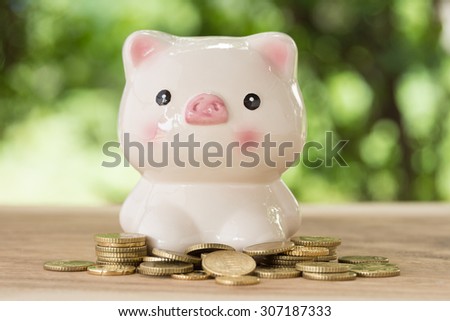 piggy bank with golden coins in nature background. account concept,business concept,finance concept, savings concept