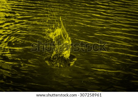 An image of a beautiful water background.Clear focus on specific areas of the image./ soft Focus