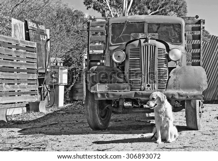 Golden retriever dog sitting in front of old truck and fuel pump