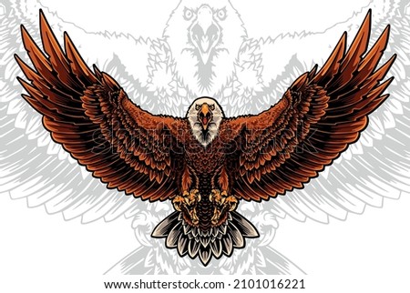 Bald Eagle Spread the Wings Vector