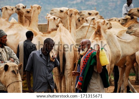 BABILE, ETHIOPIA - AUG 5: Various ethnic groups ethnic group of the Horn of Africa come to Babile camel market in Ethiopia to buy and sell camels on August 5, 2007 in Babile, Ethiopia.