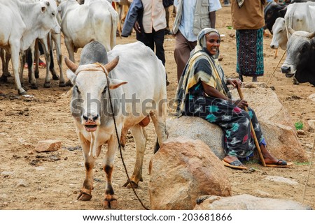 BABILE, ETHIOPIA - AUG 5: Various ethnic groups ethnic group of the Horn of Africa come to Babile market in Ethiopia to buy and sell cattle on August 5, 2007 in Babile, Ethiopia.