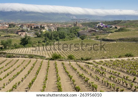 ELCIEGO, SPAIN - MAY 9: Vineyards and town of Elciego with the modern winery of Marques de Riscal on May 9, 2014 in Elciego, Basque Country, Spain. This modern winery was designed by Frank Gehry.