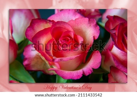 Valentine's Day photo card with a beautiful rose and Happy Valentine's Day message.