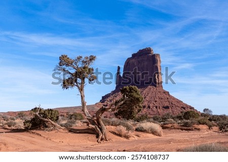 Similar – Image, Stock Photo Monument Valley Juniper