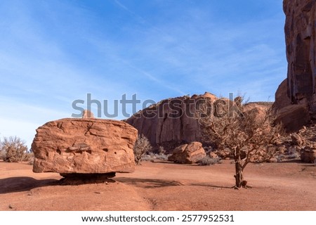 Similar – Image, Stock Photo Monument Valley Juniper