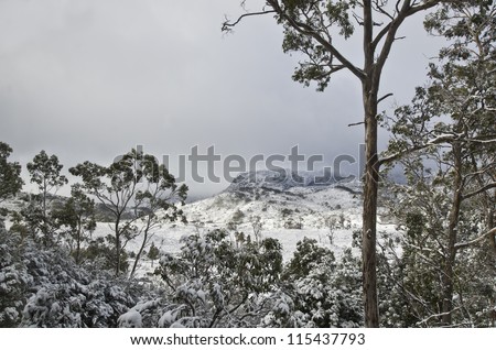 Snow covered landscape at Cradle Mountain National Park, Tasmania, Australia