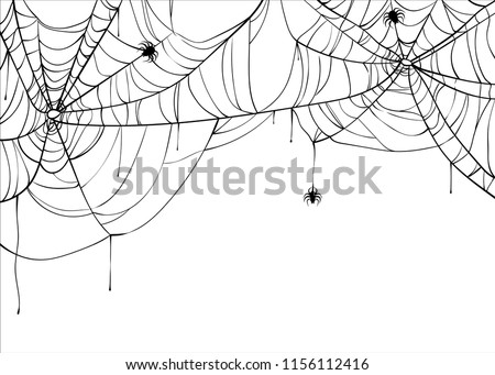 Halloween spiderweb vector background with spiders, copy space. Cobweb backdrop illustration isolated on white