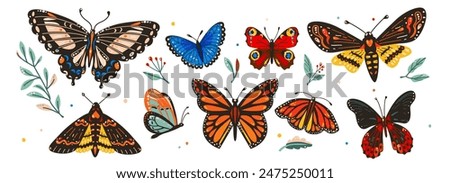 Butterfly vector illustration set. Beautiful tropical moths isolated on white background. Flying cute insects with colorful wings in flat trendy style.