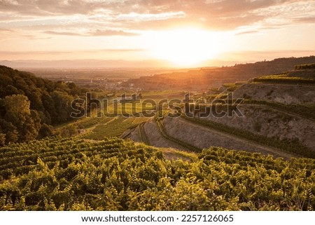 Image, Stock Photo Kaiserstuhl Tourism Trip