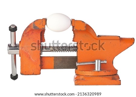 Similar – Image, Stock Photo Egg in a clamp. Strong organic egg concept. Concept of strength