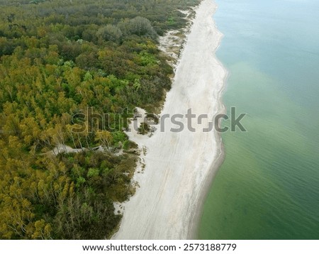 Similar – Image, Stock Photo Rippled ocean near green mountain with walkway under sky