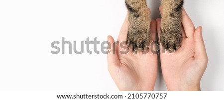 Similar – Image, Stock Photo Devotional place in the cemetery forest Heiligenberg