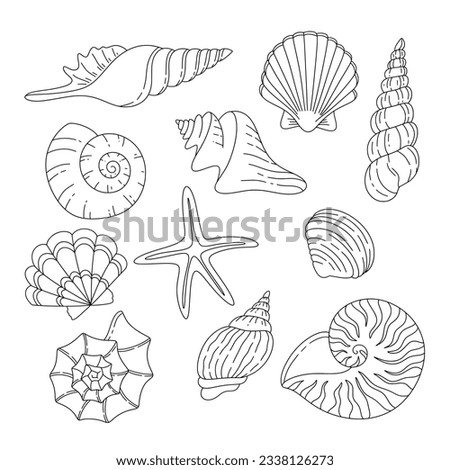 Shell Outline | Free download on ClipArtMag