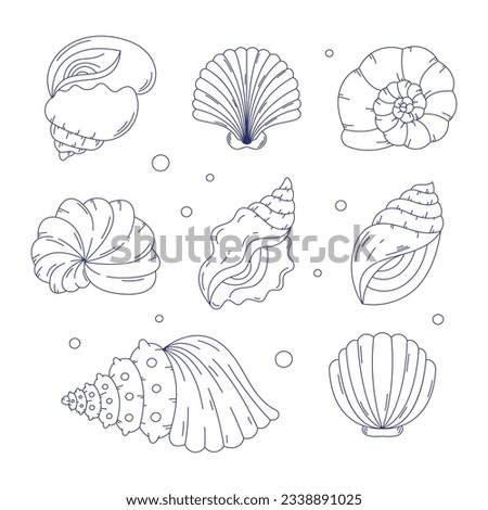 seashell outline illustration. Seashells vector set. Hand drawn illustrations of engraved line. Collection of realistic sketches various mollusk sea shells different forms. isolated white background.