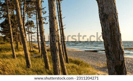 Similar – Image, Stock Photo Forest lake with groynes