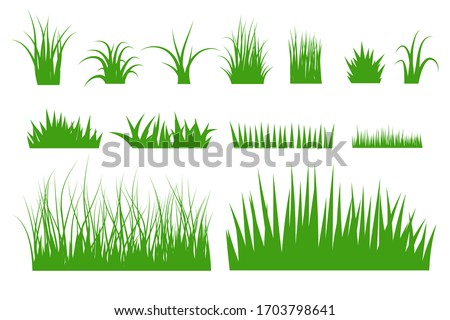 Similar – Image, Stock Photo Grasses and weeds in the golden sunset