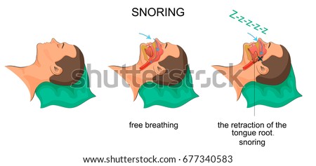 vector illustration of a snoring sleeping man
