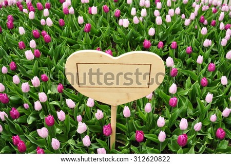 Love Text Box Surrounded by Tulip